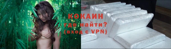 apvp Белокуриха