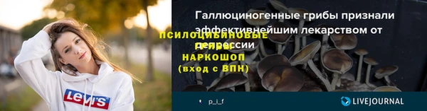 apvp Белокуриха
