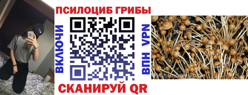 дарнет шоп Острогожск Галлюциногенные грибы MAGIC MUSHROOMS