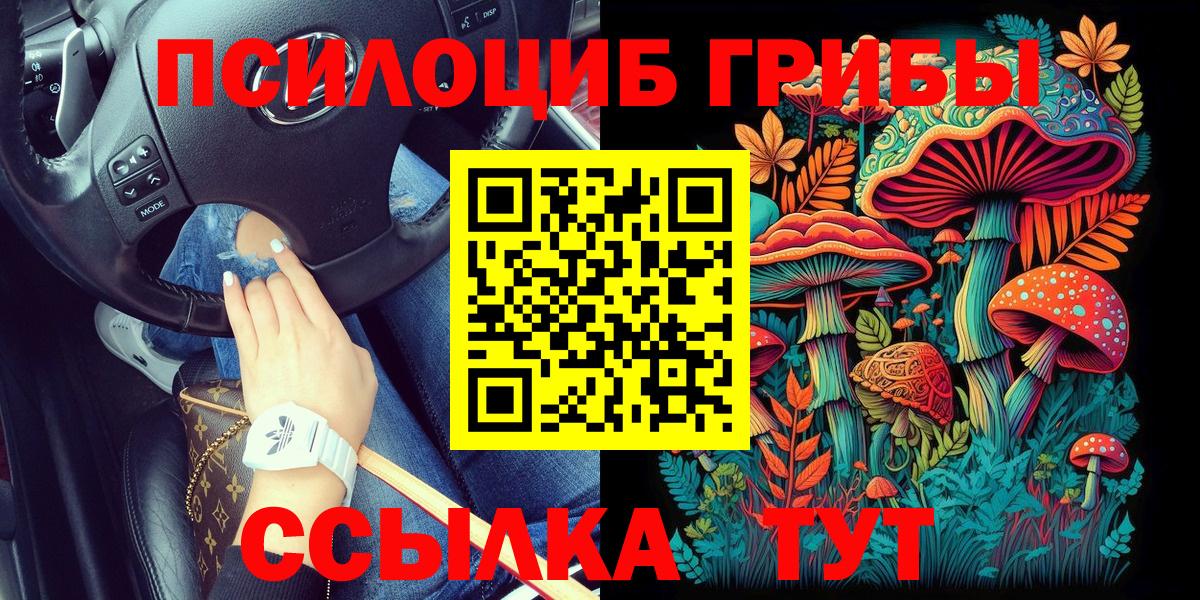 Псилоцибиновые грибы Psilocybe  Галлюциногенные грибы Cubensis  Вход с VPN  Острогожск 