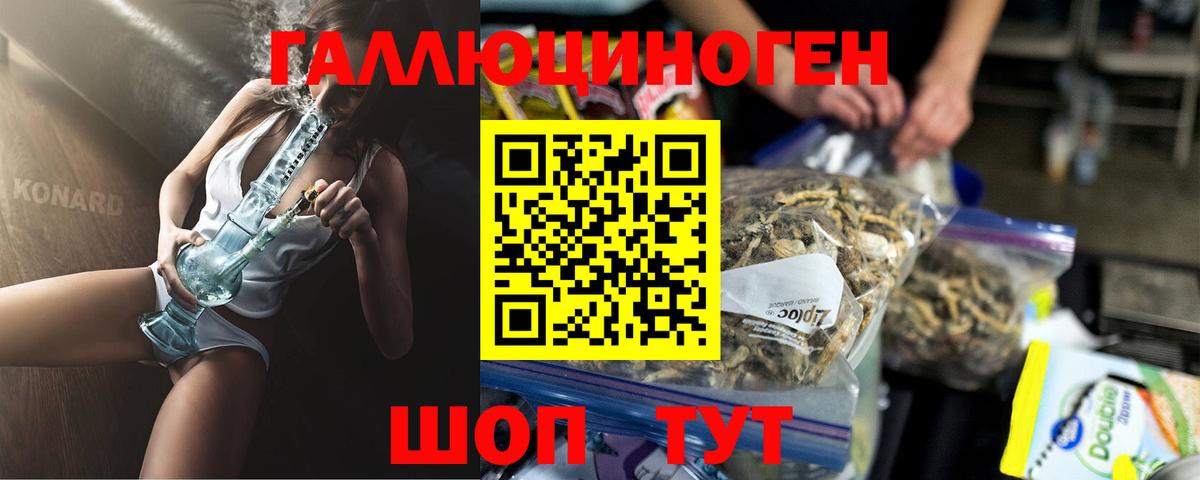 Псилоцибиновые грибы Psilocybe Острогожск